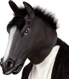 Widmann Paard Kostuum - Zwart - Heren - Halloween