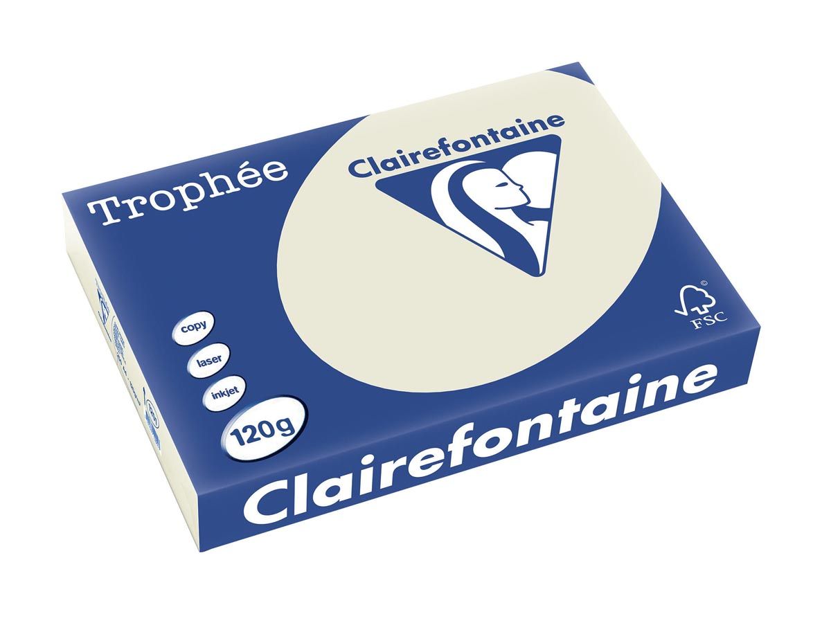Clairefontaine Trophée Pastel A4 parelgrijs 120 g 250 vel