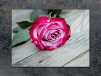 TMK ArtDeko Snijplank - 70x52 cm - Gehard Glas - Roze