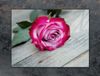 TMK ArtDeko Snijplank - 70x52 cm - Gehard Glas - Roze