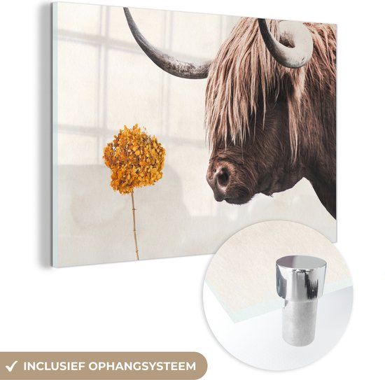 MuchoWow® Glass Painting 30x20 cm - Acrylic Glass Painting - Scottish Highlander - Cow - Flower - Photo on Glass - Paintings