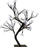 GOM Blossom tree illuminated