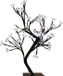 GOM Blossom tree illuminated