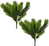 Everlands Branche de sapin de Noël - 2 pièces - Vert - Plastique - L25 cm