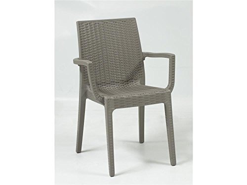 ARETA ARE064 stoel met armleuningen, model Dafne, taupe, 55 x 54 cm