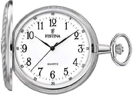 Festina F2021/1 Zakhorloge - Staal - Zilverkleurig - Ø 49 mm