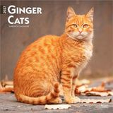 Ginger Browntrout Publishers Ginger Cats - Gingerkatzen - Rote Katzen 2027 - 16-Monatskalender