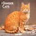 Ginger Browntrout Publishers Ginger Cats - Gingerkatzen - Rote Katzen 2027 - 16-Monatskalender