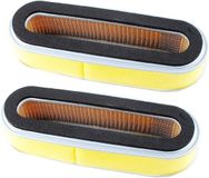 Sans marque 17210-ZE6-505 Filtre à air de remplacement compatible avec les moteurs GV150 GV200 GXV120 HR194 HR195 HR21 HR214 HR215 HR21 HRA214 HRA215 HRC215 Tondeuse à gazon (2 pièces)