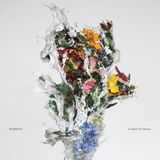 Konkurrent Big|Brave - A Chaos Of Flowers (LP)