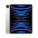 Apple iPad Pro M2 / 5G / 256 GB / Zilver