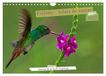 Colibris Calvendo Colibris - éclats de nature (Calendrier mural 2027 DIN A4 vertical), CALVENDO calendrier mensuel