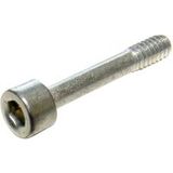 Provertha 5520Z4N Cilinderschroef Zilver 1 stuk(s)