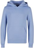 Build Your Brand Hoodie Junior Basic Bleu poudré