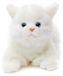 Peluche chat - Couché - Blanc - 20 cm longueur