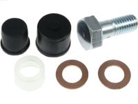 AS-PL SRS2031S Alternator reparatieset voor vacuümpomps/lichtmachinepomp reparatiesets