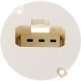 Zenitech Couvercle Dcl pour boîte applique Ø54mm - Blanc