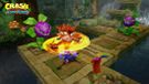 Activision Blizzard Entertainment Activision Crash Bandicoot N. Sane Trilogy Standard Edition Nintendo Switch