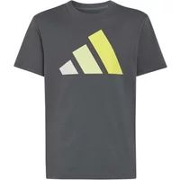 Adidas T-shirt katoen kind Essentials Boy Love