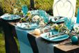 Santex Chemin de table sur rouleau - Bleu clair - 30 cm x 10 m
