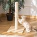 Arbre à chat beige et chêne