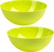 Plastic Forte Voedsel Serveerschaal - 2 stuks - Groen - Kunststof - 25 cm