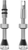 Peaty's Holeshot Fast Flow Tubeless ventielen - Zilver