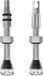 Peaty's Holeshot Fast Flow Tubeless ventielen - Zilver
