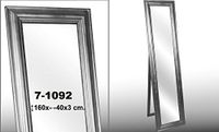 DONREGALOWEB Staande Spiegel met Frame van Kunsthars, Zilverkleurig, 160 x 40 x 3 cm