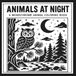 Animals at Night: A Monochrome Animal Coloring Book