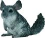 Collecta Figurine de chinchilla - (M)