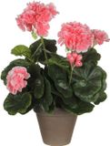 Mica Decorations Kunstplant - geranium - perzik - in pot - 34 cm