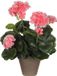 Mica Decorations Kunstplant - geranium - perzik - in pot - 34 cm