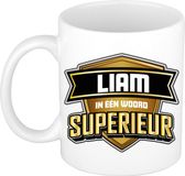 Bellatio Decorations Naam mok Liam - wit - Superieur - keramiek - 300 ml - collega beker - cadeau