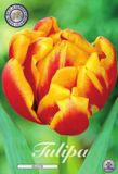Dutch Flower Lady Cilesta Dubbel Tulpenbollen 10 stuks Bolmaat 12+