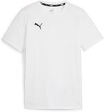 Puma Kinder T-shirt TeamGoal Casuals Jr 658616