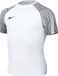 Nike Dri-Fit Academy Sportshirt Unisex - Maat S