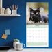 Baker & Bray Zwarte Kittens Kalender 2027 Wandkalender