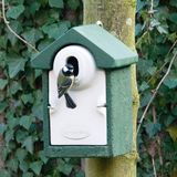 CJ Wildlife Nestkast - Sevilla - Groen