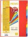 Exacompta - Set van 2 tabbladen van helder gerecycled karton 220 g/m² met 12 neutrale tabbladen - A4-formaat