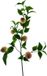 Bellatio Design Kunstbloem fruit tak Perzik - 76 cm
