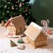 PME Cake Ltd PME Christmas Cookie Cutters & Stamps - Gingerbread House