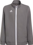 adidas - Entrada 22 Presentation Jacket Youth - Kinder trainingsjack - Grijs - Maat 116