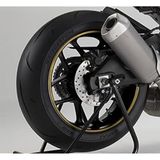 Puig 4542z Strip 6 m, met applicator, kleur goud brons