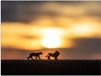 Merkloos / Sans marque Poster - Speelgoed Dieren bij Zonsondergang - 80x60 cm - Glanzend