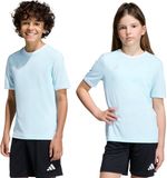 adidas teamwear adidas Entrada 26 Jersey Kinderen Hemelsblauw - Maat 164cm