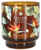 Collines de Provence Verse Planten Geurkaars 220 g (Geur : Fleur de Paradis)