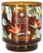 Collines de Provence Verse Planten Geurkaars 220 g (Geur : Fleur de Paradis)