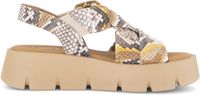 Gabor - Sandales - Femme - Similicuir - Caoutchouc - Imprimé animal