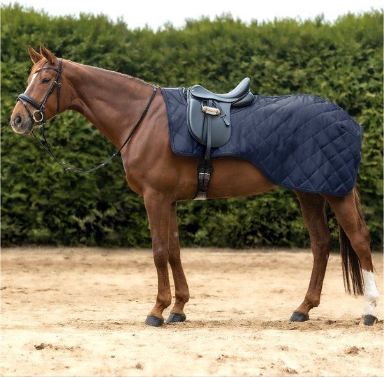 Waldhausen Nierdeken Exclusive - 50g - Full Navy